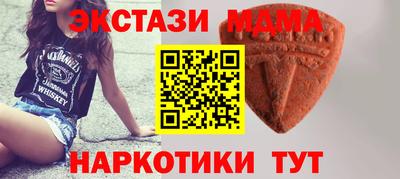 индика Камышлов
