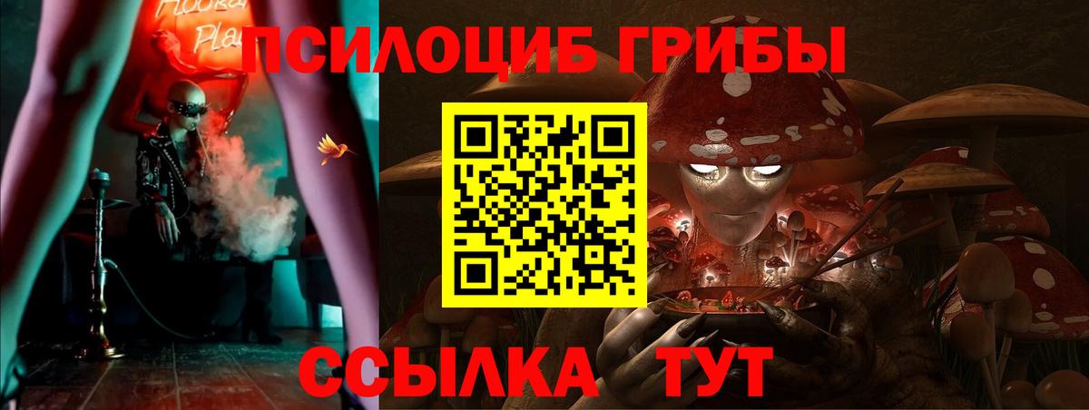 Назарово  Псилоцибиновые грибы MAGIC MUSHROOMS  Вход с VPN 