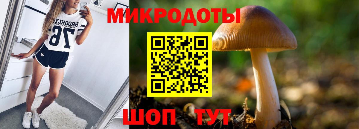 Галлюциногенные грибы мицелий Назарово